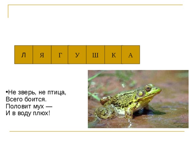 Г У Ш К Л Я А Не зверь, не птица,   Всего боится.   Половит мух —   И в воду плюх!    