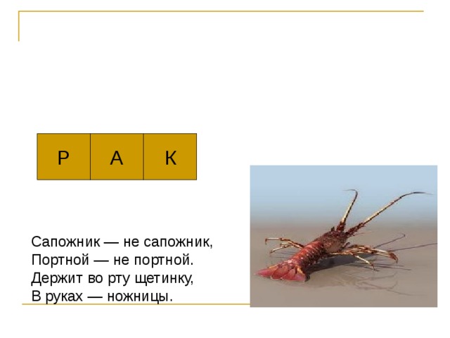 А К Р Сапожник — не сапожник,   Портной — не портной.   Держит во рту щетинку,   В руках — ножницы.  