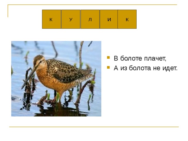 В болоте плачет, А из болота не идет. 