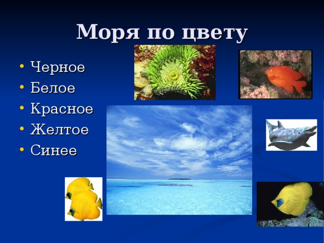 Моря по цвету Черное Белое Красное Желтое Синее 