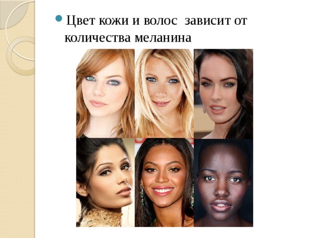 Цвет кожи и волос зависит от количества меланина 