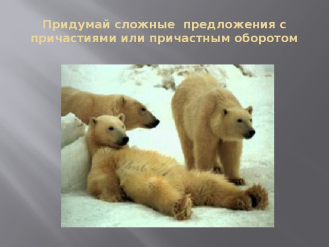 Придумай сложные предложения с причастиями или причастным оборотом 