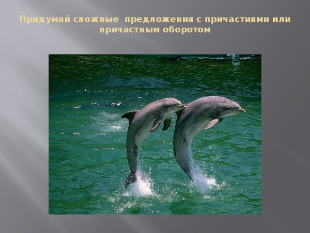 Придумай сложные предложения с причастиями или причастным оборотом   