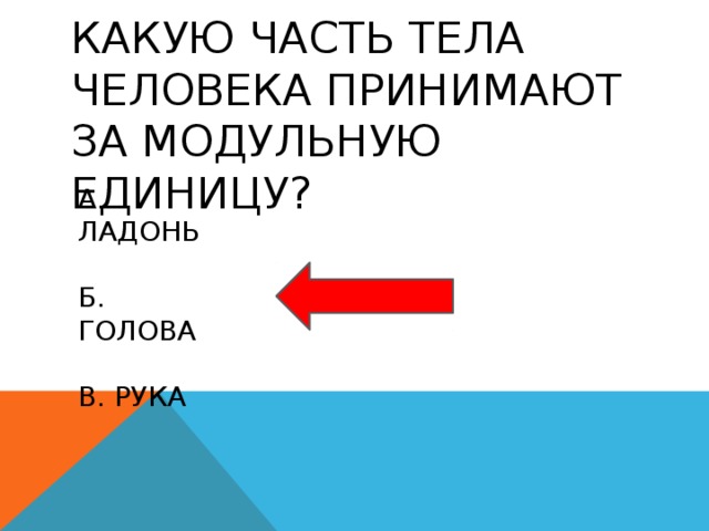 Какую часть тела человека принимают за модульную единицу? а. ладонь б. голова в. рука 