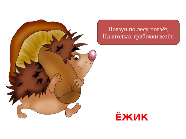 Ползун по лесу ползёт, На иголках грибочки везёт. ЁЖИК  
