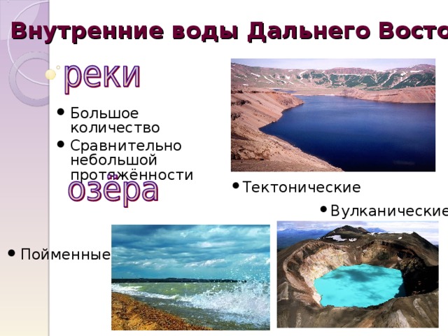 Внутренние воды Дальнего Востока Большое количество Сравнительно небольшой протяжённости Тектонические Вулканические Пойменные 