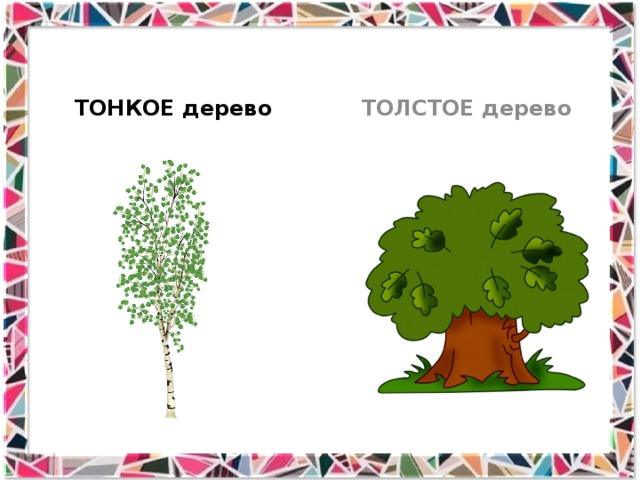 ТОНКОЕ дерево ТОЛСТОЕ дерево 