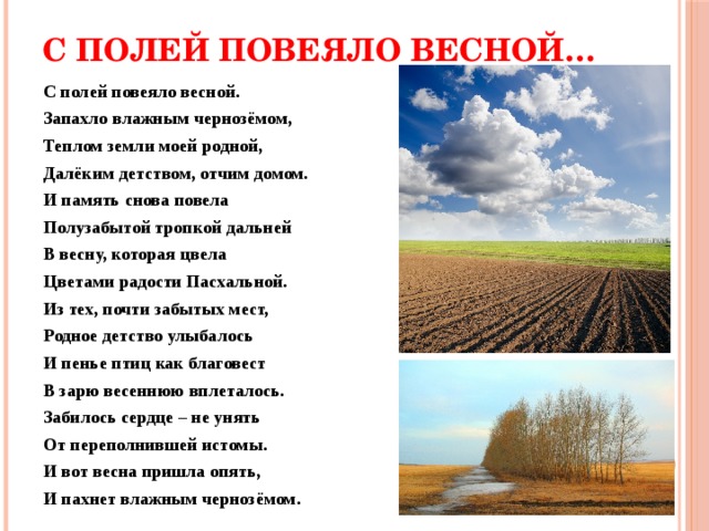 С полей повеяло весной… С полей повеяло весной. Запахло влажным чернозёмом, Теплом земли моей родной, Далёким детством, отчим домом. И память снова повела Полузабытой тропкой дальней В весну, которая цвела Цветами радости Пасхальной. Из тех, почти забытых мест, Родное детство улыбалось И пенье птиц как благовест В зарю весеннюю вплеталось. Забилось сердце – не унять От переполнившей истомы. И вот весна пришла опять, И пахнет влажным чернозёмом. 