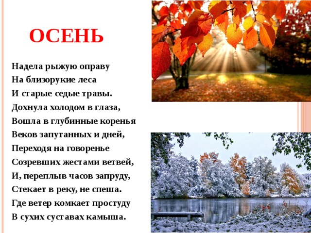  Осень Надела рыжую оправу На близорукие леса И старые седые травы. Дохнула холодом в глаза, Вошла в глубинные коренья Веков запутанных и дней, Переходя на говоренье Созревших жестами ветвей, И, переплыв часов запруду, Стекает в реку, не спеша. Где ветер комкает простуду В сухих суставах камыша. 