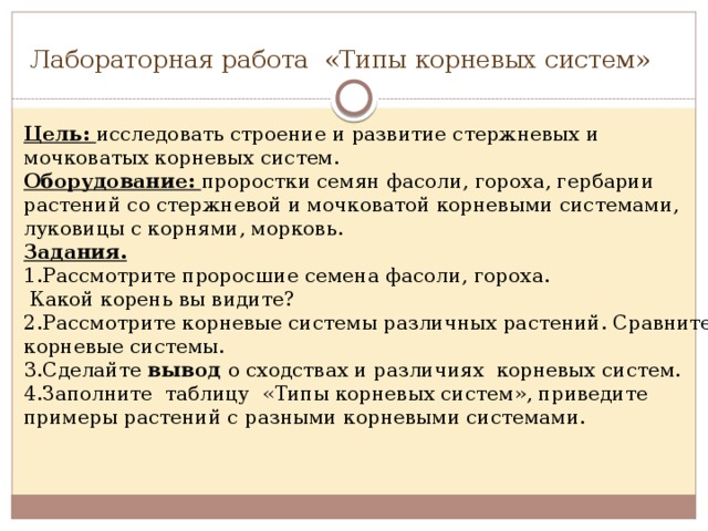 Лабораторная работа «Типы корневых систем» Цель:  исследовать строение и развитие стержневых и мочковатых корневых систем. Оборудование:  проростки семян фасоли, гороха, гербарии растений со стержневой и мочковатой корневыми системами, луковицы с корнями, морковь. Задания.  Рассмотрите проросшие семена фасоли, гороха.  Какой корень вы видите? 2.Рассмотрите корневые системы различных растений. Сравните корневые системы. 3.Сделайте вывод о сходствах и различиях корневых систем. 4.Заполните таблицу «Типы корневых систем», приведите примеры растений с разными корневыми системами.  
