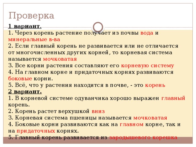 Проверка 1 вариант . 1. Через корень растение получает из почвы вода и минеральные в-ва 2. Если главный корень не развивается или не отличается от многочисленных других корней, то корневая система называется мочковатая 3. Все корни растения составляют его корневую систему 4. На главном корне и придаточных корнях развиваются боковые корни. 5. Всё, что у растения находится в почве, - это корень 2 вариант. 1. В корневой системе одуванчика хорошо выражен главный корень. 2. Корень растет верхушкой вниз 3. Корневая система пшеницы называется мочковатая 4. Боковые корни развиваются как на главном корне, так и на придаточных корнях. 5. Главный корень развивается из зародышевого корешка 