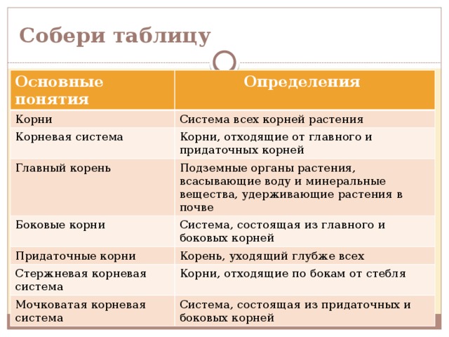   Собери таблицу Основные понятия Определения Корни Система всех корней растения Корневая система Главный корень Корни, отходящие от главного и придаточных корней Подземные органы растения, всасывающие воду и минеральные вещества, удерживающие растения в почве Боковые корни Система, состоящая из главного и боковых корней Придаточные корни Корень, уходящий глубже всех Стержневая корневая система Корни, отходящие по бокам от стебля Мочковатая корневая система Система, состоящая из придаточных и боковых корней 