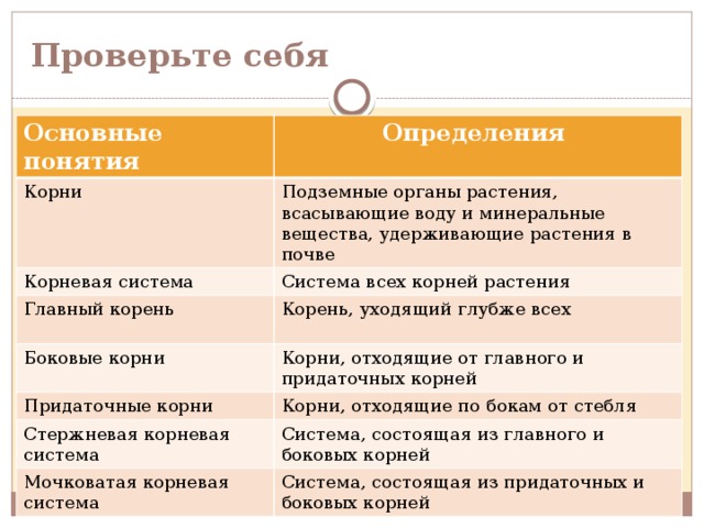   Проверьте себя Основные понятия Определения Корни Подземные органы растения, всасывающие воду и минеральные вещества, удерживающие растения в почве Корневая система Система всех корней растения Главный корень Корень, уходящий глубже всех Боковые корни Корни, отходящие от главного и придаточных корней Придаточные корни Корни, отходящие по бокам от стебля Стержневая корневая система Система, состоящая из главного и боковых корней Мочковатая корневая система Система, состоящая из придаточных и боковых корней 