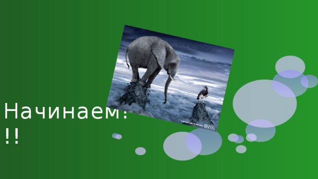 Начинаем!!! 