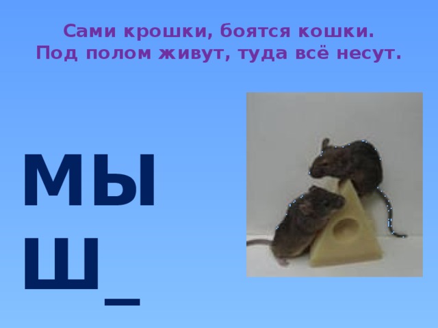 Сами крошки, боятся кошки.  Под полом живут, туда всё несут. и МЫШ_ 