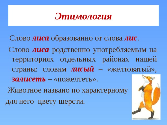Этимология  Слово лиса образованно от слова лис .   Слово лиса родственно употребляемым на территориях отдельных районах нашей страны: словам лисый – «желтоватый», залисеть – «пожелтеть».  Животное названо по характерному для него цвету шерсти. 