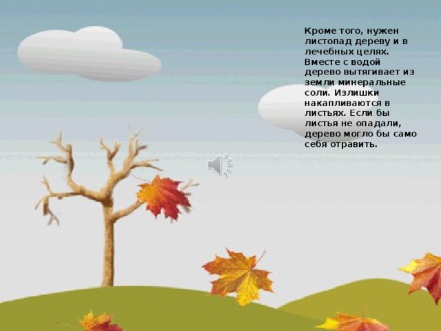Кроме того, нужен листопад дереву и в лечебных целях. Вместе с водой дерево вытягивает из земли минеральные соли. Излишки накапливаются в листьях. Если бы листья не опадали, дерево могло бы само себя отравить. 