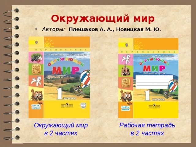 Окружающий мир Авторы:   Плешаков А. А., Новицкая М. Ю. Окружающий мир в 2 частях Рабочая тетрадь в 2 частях 