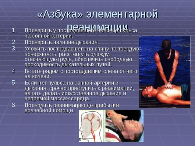 «Азбука» элементарной реанимации Проверить у пострадавшего наличие пульса на сонной артерии. Проверить наличие дыхания. Уложить пострадавшего на спину на твердую поверхность, расстегнуть одежду, стесняющую грудь, обеспечить свободную проходимость дыхательных путей. Встать рядом с пострадавшим слева от него на колени. Если нет пульса на сонной артерии и дыхания, срочно приступить к реанимации, начать делать искусственное дыхание и непрямой массаж сердца. Проводить реанимацию до прибытия врачебной помощи.   