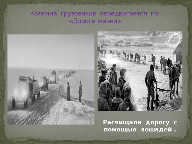 Колонна грузовиков передвигается по  «Дороге жизни». Расчищали дорогу с помощью лошадей . 