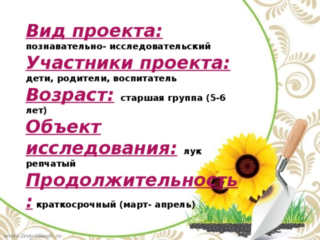 Вид проекта:  познавательно- исследовательский Участники проекта:  дети, родители, воспитатель Возраст:  старшая группа (5-6 лет) Объект исследования:  лук репчатый Продолжительность:  краткосрочный (март- апрель) 