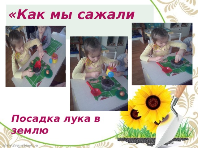 «Как мы сажали лук…» Посадка лука в землю 
