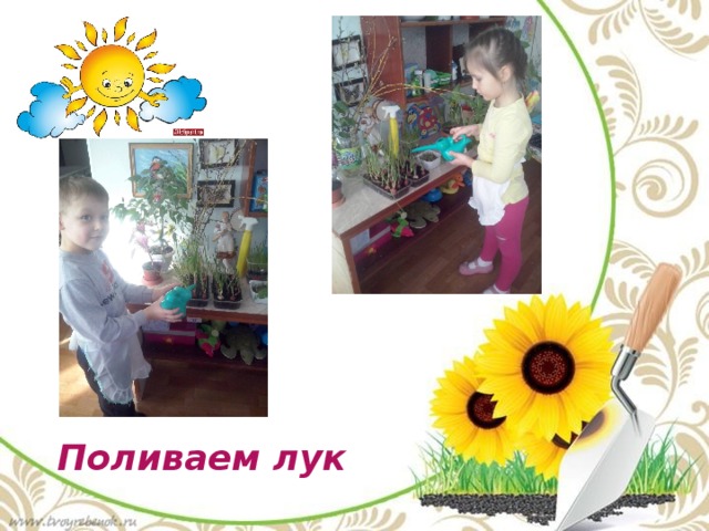 Поливаем лук 