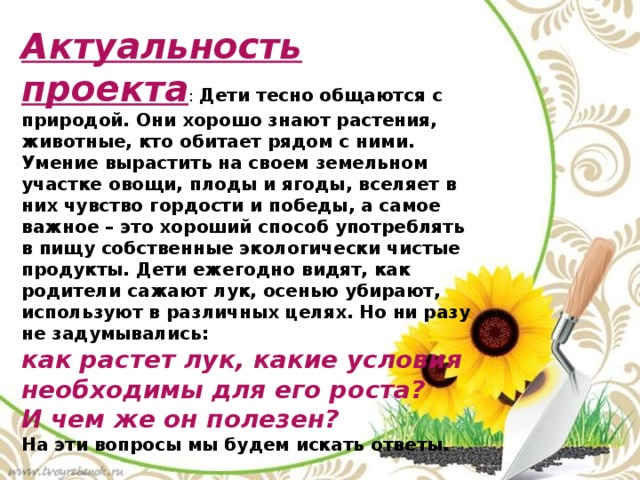 Актуальность проекта : Дети тесно общаются с природой. Они хорошо знают растения, животные, кто обитает рядом с ними. Умение вырастить на своем земельном участке овощи, плоды и ягоды, вселяет в них чувство гордости и победы, а самое важное – это хороший способ употреблять в пищу собственные экологически чистые продукты. Дети ежегодно видят, как родители сажают лук, осенью убирают, используют в различных целях. Но ни разу не задумывались: как растет лук, какие условия необходимы для его роста? И чем же он полезен? На эти вопросы мы будем искать ответы. 