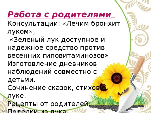 Работа с родителями :  Консультации: «Лечим бронхит луком»,  «Зеленый лук доступное и надежное средство против весенних гиповитаминозов». Изготовление дневников наблюдений совместно с детьми. Сочинение сказок, стихов о луке. Рецепты от родителей; Поделки из лука. 