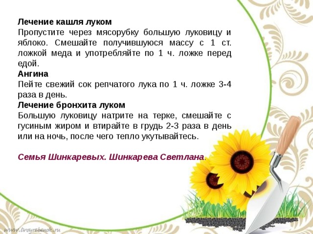 Лечение кашля луком Пропустите через мясорубку большую луковицу и яблоко. Смешайте получившуюся массу с 1 ст. ложкой меда и употребляйте по 1 ч. ложке перед едой. Ангина Пейте свежий сок репчатого лука по 1 ч. ложке 3-4 раза в день. Лечение бронхита луком   Большую луковицу натрите на терке, смешайте с гусиным жиром и втирайте в грудь 2-3 раза в день или на ночь, после чего тепло укутывайтесь. Семья Шинкаревых. Шинкарева Светлана . 