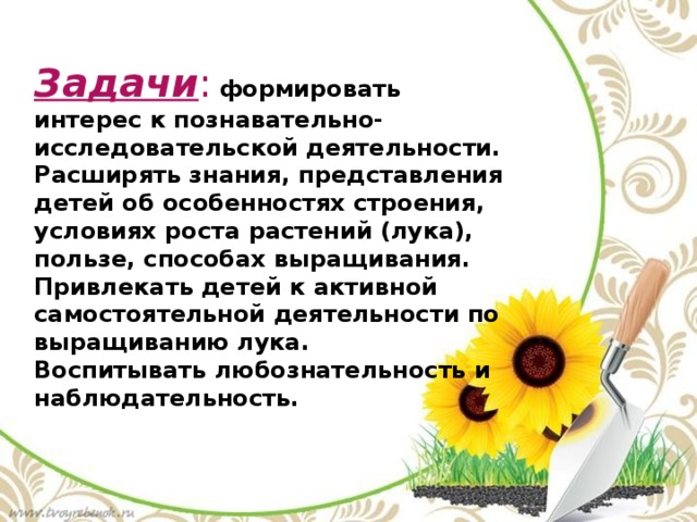 Задачи :  формировать интерес к познавательно- исследовательской деятельности. Расширять знания, представления детей об особенностях строения, условиях роста растений (лука), пользе, способах выращивания. Привлекать детей к активной самостоятельной деятельности по выращиванию лука. Воспитывать любознательность и наблюдательность.  