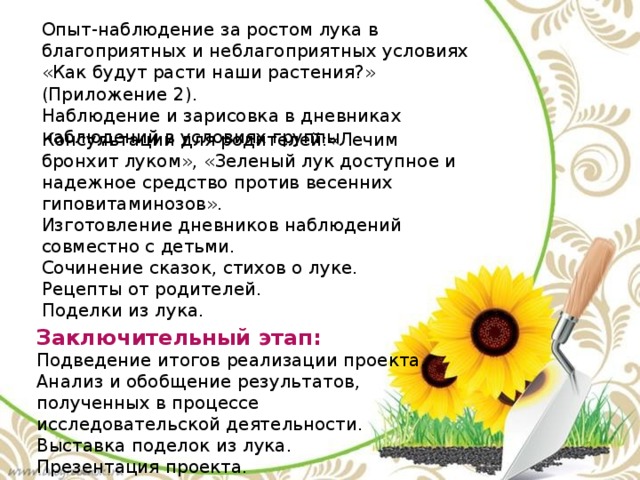 Опыт-наблюдение за ростом лука в благоприятных и неблагоприятных условиях «Как будут расти наши растения?» (Приложение 2). Наблюдение и зарисовка в дневниках наблюдений в условиях группы. Консультации для родителей:«Лечим бронхит луком», «Зеленый лук доступное и надежное средство против весенних гиповитаминозов». Изготовление дневников наблюдений совместно с детьми. Сочинение сказок, стихов о луке. Рецепты от родителей. Поделки из лука. Заключительный этап: Подведение итогов реализации проекта. Анализ и обобщение результатов, полученных в процессе исследовательской деятельности. Выставка поделок из лука. Презентация проекта. 