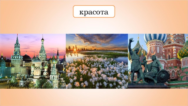 красота 