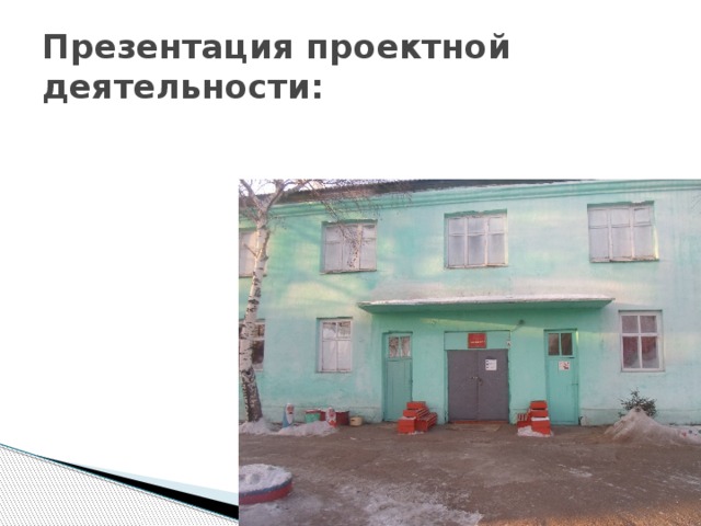 Презентация проектной деятельности: 