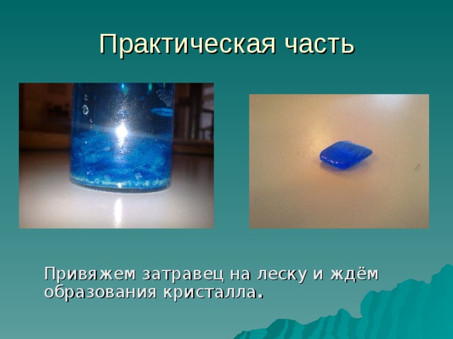 Практическая часть  Привяжем затравец на леску и ждём образования кристалла . 