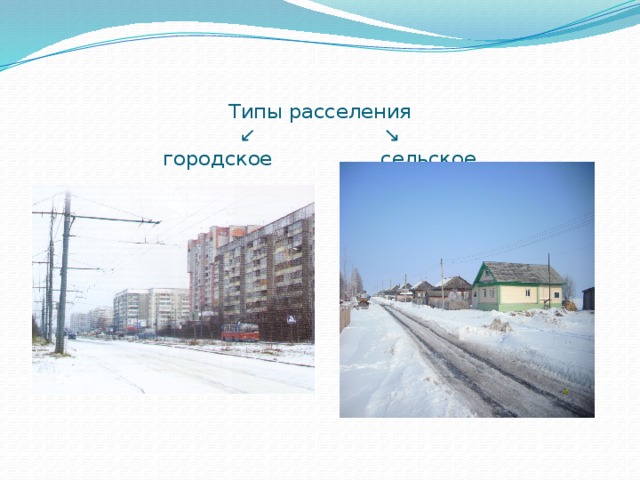 Типы расселения  ↙ ↘  городское сельское 