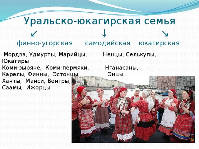Уральско-юкагирская семья  ↙ ↓ ↘   финно-угорская самодийская юкагирская  Мордва, Удмурты, Марийцы, Ненцы, Селькупы, Юкагиры Коми-зыряне, Коми-пермяки, Нганасаны, Карелы, Финны, Эстонцы, Энцы Ханты, Манси, Венгры, Саамы, Ижорцы 
