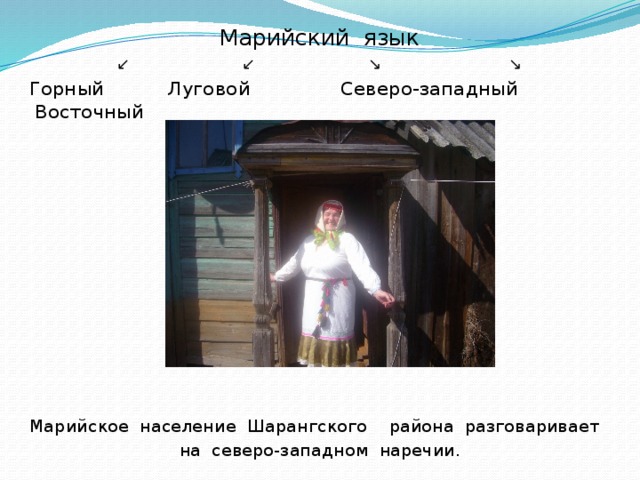 Марийский язык ↙ ↙ ↘ ↘  Горный Луговой Северо-западный Восточный Марийское население Шарангского района разговаривает на северо-западном наречии. 