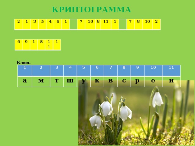 КРИПТОГРАММА 2 1 3 5 4 6 1   7 10 8 11 1   7 8 10 2 6 9 1 8 11 1 Ключ. 1 а 2 3 м т 4 ш 5 у 6 7 к 8 в 9 с р 10 11 е н 