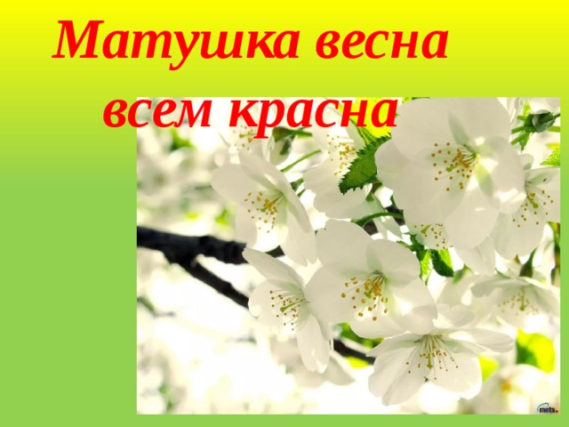 Матушка весна всем красна 