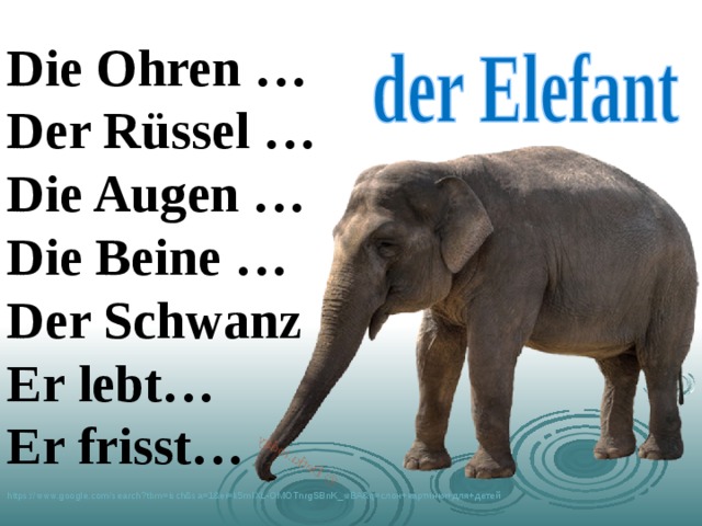 Die Ohren … Der Rüssel … Die Augen … Die Beine … Der Schwanz Er lebt… Er frisst…  https://www.google.com/search?tbm=isch&sa=1&ei=k5mIXL-OMOTnrgSBnK_wBA&q= слон+картинки+для+детей  