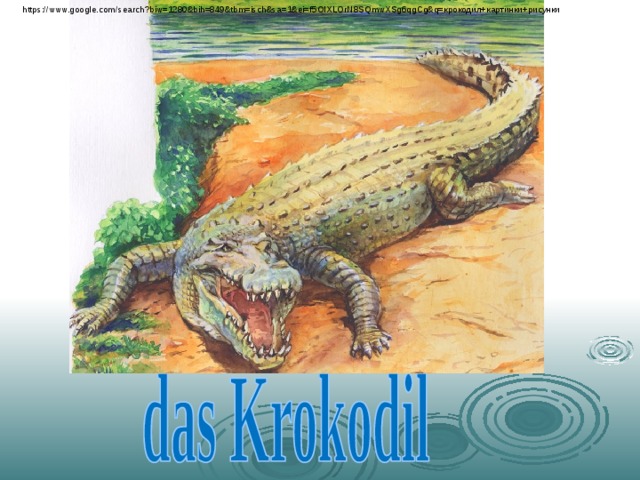 https://www.google.com/search?biw=1280&bih=849&tbm=isch&sa=1&ei=f5OIXLOrN8SQmwXSg6qgCg&q= крокодил+картинки+рисунки  