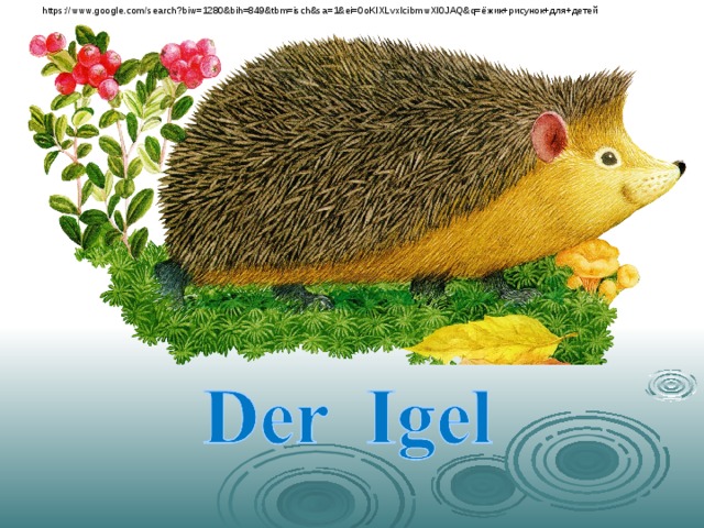 https://www.google.com/search?biw=1280&bih=849&tbm=isch&sa=1&ei=0oKIXLvxIcibmwXI0JAQ&q= ёжик+рисунок+для+детей 