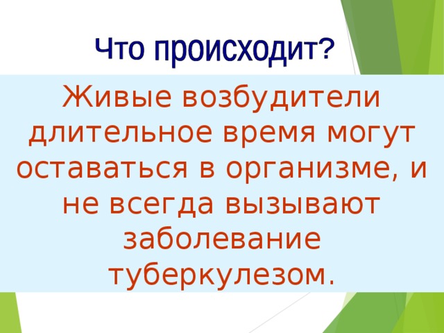 Живые возбудители длительное время могут оставаться в организме, и не всегда вызывают заболевание туберкулезом. При внедрении в организм микобактерий туберкулеза происходит инфицирование (заражение), которое определяется у детей пробой Манту. Такие люди называются носителями туберкулезной инфекции. 80 % взрослых жителей нашей планеты являются постоянными носителями микобактерий туберкулеза, т.е. они инфицированы. 