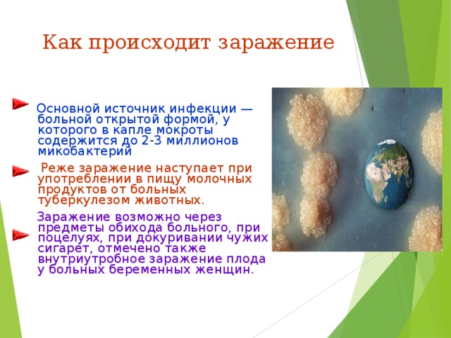 Как происходит заражение    Основной источник инфекции — больной открытой формой, у которого в капле мокроты содержится до 2-3 миллионов микобактерий  Реже заражение наступает при употреблении в пищу молочных продуктов от больных туберкулезом животных.  Заражение возможно через предметы обихода больного, при поцелуях, при докуривании чужих сигарет, отмечено также внутриутробное заражение плода у больных беременных женщин. 