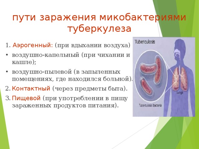 пути заражения микобактериями туберкулеза 1. Аэрогенный: (при вдыхании воздуха) •  воздушно-капельный (при чихании и кашле); •  воздушно-пылевой (в запыленных помещениях, где находился больной). 2.  Контактный (через предметы быта). 3.  Пищевой (при употреблении в пищу зараженных продуктов питания). 