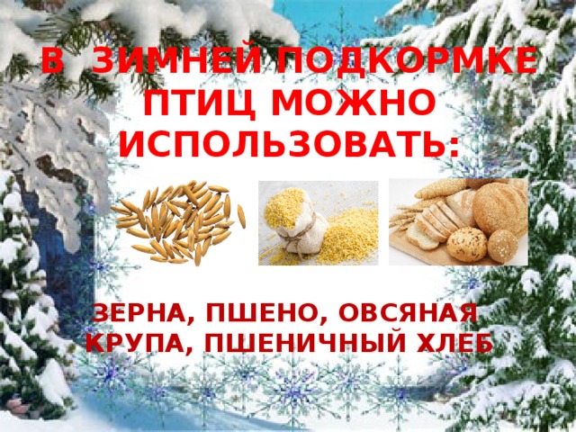В ЗИМНЕЙ ПОДКОРМКЕ ПТИЦ МОЖНО ИСПОЛЬЗОВАТЬ: ЗЕРНА, ПШЕНО, ОВСЯНАЯ КРУПА, ПШЕНИЧНЫЙ ХЛЕБ 