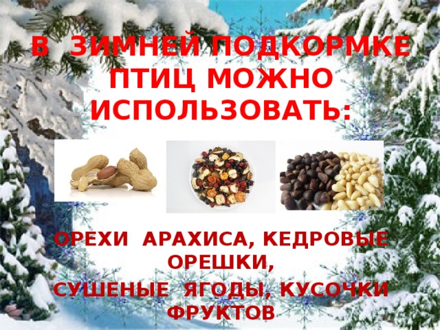 В ЗИМНЕЙ ПОДКОРМКЕ ПТИЦ МОЖНО ИСПОЛЬЗОВАТЬ: ОРЕХИ АРАХИСА, КЕДРОВЫЕ ОРЕШКИ, СУШЕНЫЕ ЯГОДЫ, КУСОЧКИ ФРУКТОВ 