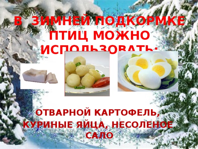 В ЗИМНЕЙ ПОДКОРМКЕ ПТИЦ МОЖНО ИСПОЛЬЗОВАТЬ:  ОТВАРНОЙ КАРТОФЕЛЬ, КУРИНЫЕ ЯЙЦА, НЕСОЛЕНОЕ САЛО 