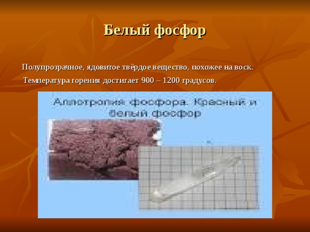 Белый фосфор  Полупрозрачное, ядовитое твёрдое вещество, похожее на воск.  Температура горения достигает 900 – 1200 градусов. 